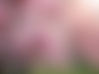 Embracing Renewal: Your Journey from Winter to Spring