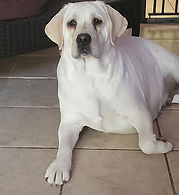 Jada aka JJ.jpg