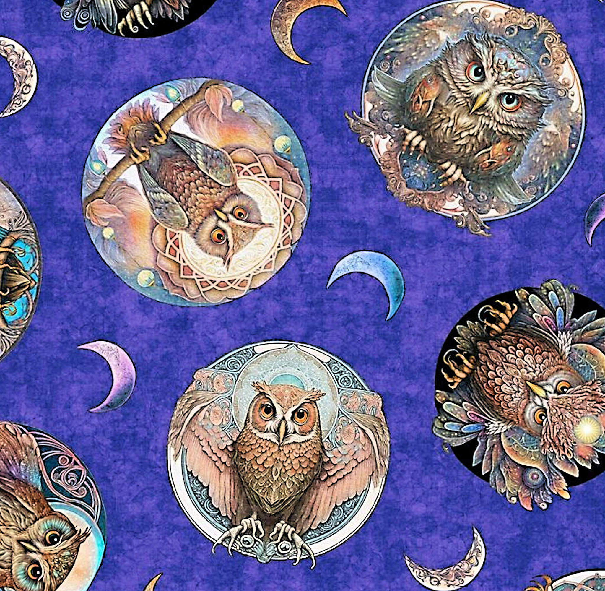 Mystic Owl Purple Toss - QT Fabrics