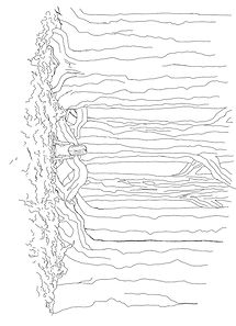 Danica Woods 2_edited.jpg