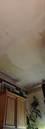 Decke, Stuck, Tapete, vintage, altbau, individuell wohnen