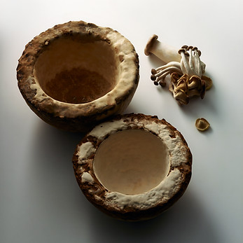 AUI002_Mushrooms_1.jpg