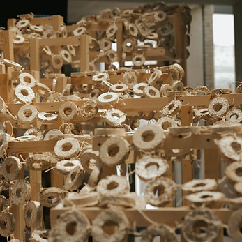 Mycelium-pavilion7.jpg