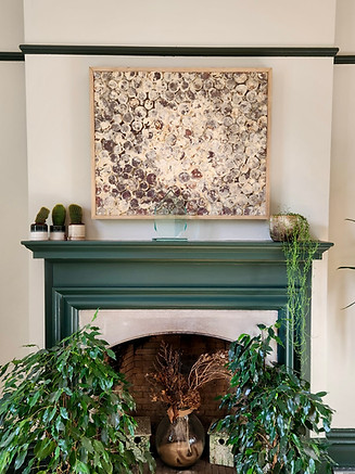 1000029483 copy 3.jpg