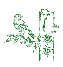 Rewilding.png