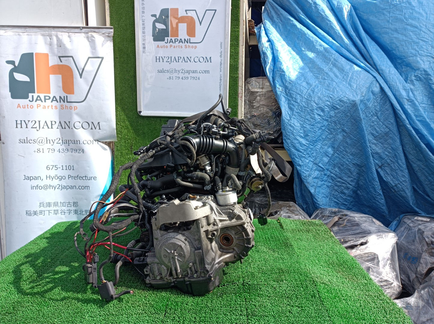 AUDI TT 2004 GH-8NAUQ