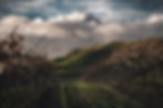 pexels-timmossholder-1784482.jpg