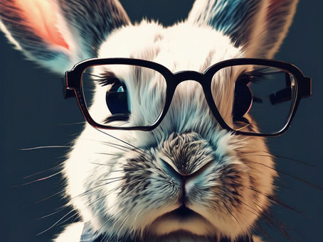 26. Aprīlī - Atgriežamies skolā | Back to school