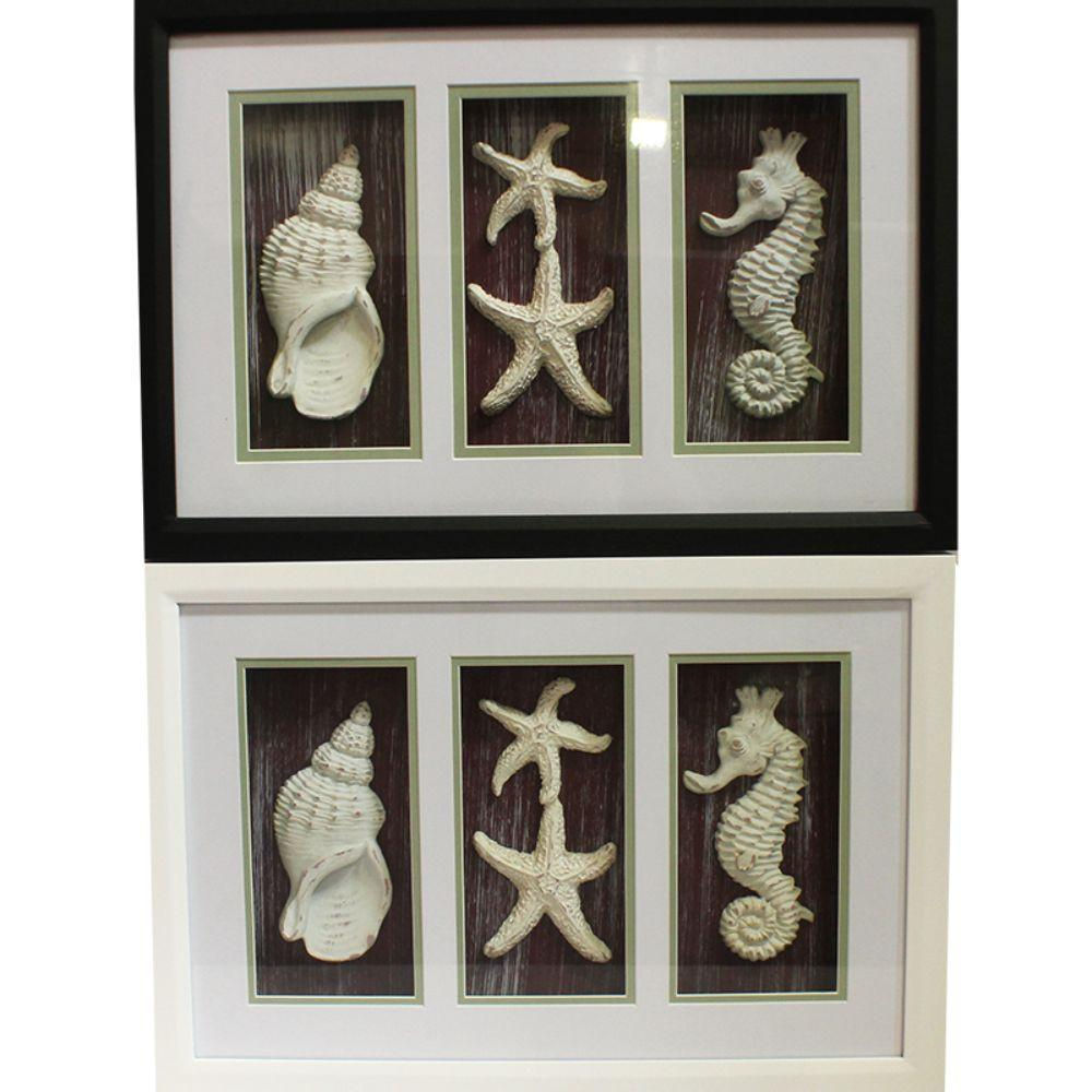seashell shadow box - 2 assorted