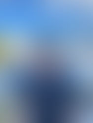 The Art of Submission