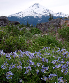 P6231056.JPG