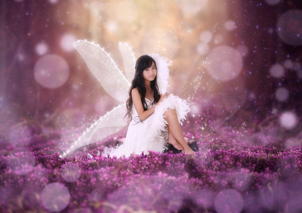 追加オプション