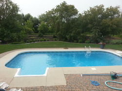 Landscaping Large Yard With Pool