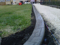 IMG00725-20111017-1622.jpg