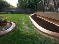 Winnipeg Landscaping With Colour