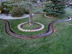 IMG00721-20111014-1838.jpg