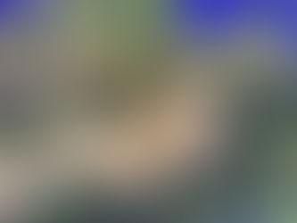 Dubai Community Hosting Local Entrepreneurs Welcomes Visitors