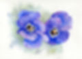 erna van dyk art