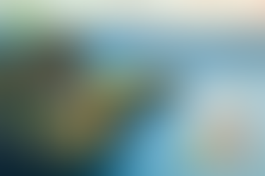 레비트라 20mg구입처, 신뢰할 수 있어야 선택이 된다