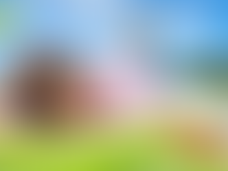 골드시알리스 정품, 오랜 사랑을 지키는 현명한 선택