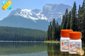 레비트라와 남성호르몬의 비밀