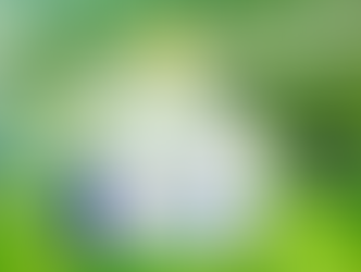 비아그라 구매 가이드: 안전하게 구입하는 방법