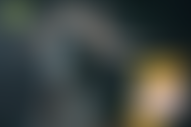 자연스러운 흐름의 기초, 골드드래곤 효능의 과학