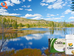 씨알리스제네릭구매, 예측 가능한 스테미너