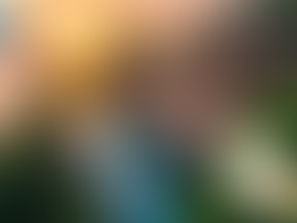 시알리스 100mg 디시, 혼자 있던 밤의 깨달음