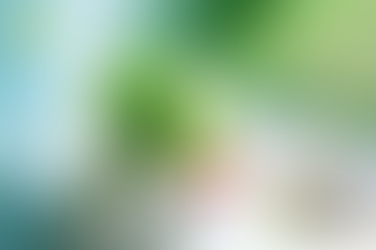 레비트라정품구매 - 혼자라고 느끼는 순간, 가장 위험한 선택