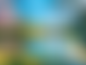 시알리스 복용법과 안전한 구매 안내