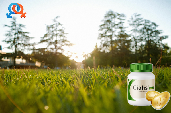 시알리스 20mg 효과, 준비된 사람만이 맞이하는 특별한 순간