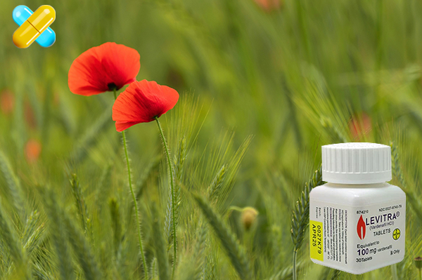 레비트라 100mg, 강력한 효능에 대한 과학적 이해