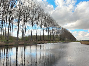 Mein Weg zum Minimalismus