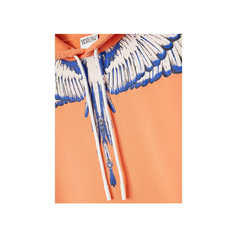 Thumbnail: MARCELO BURLON WINGS HOODIE IN ORANGE