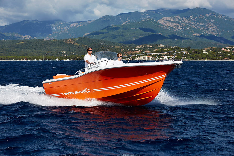 sillage-whiteshark246-1