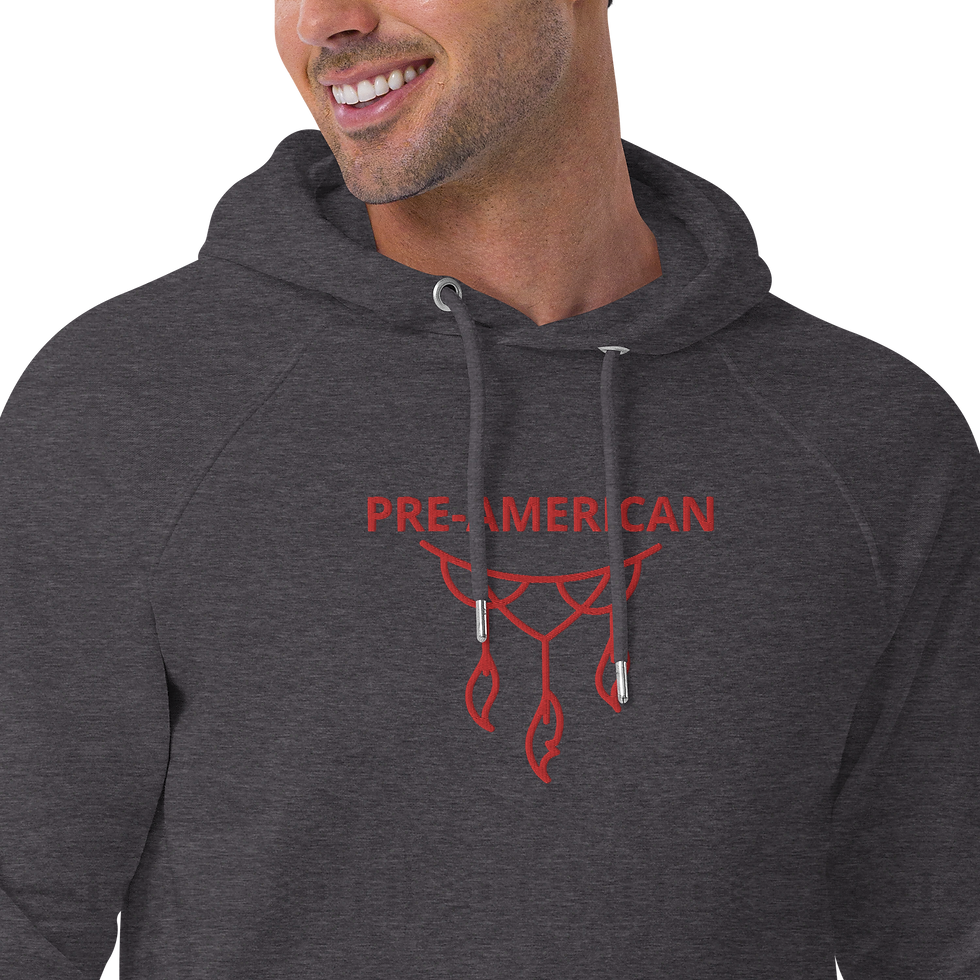 Thumbnail: Pre-american eco raglan hoodie