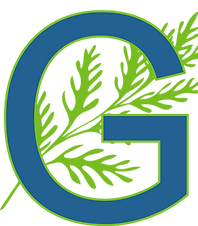6.png