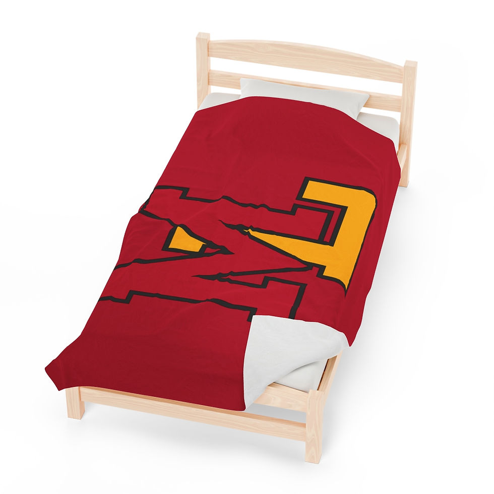 Thumbnail: Raiders ML Plush Blanket