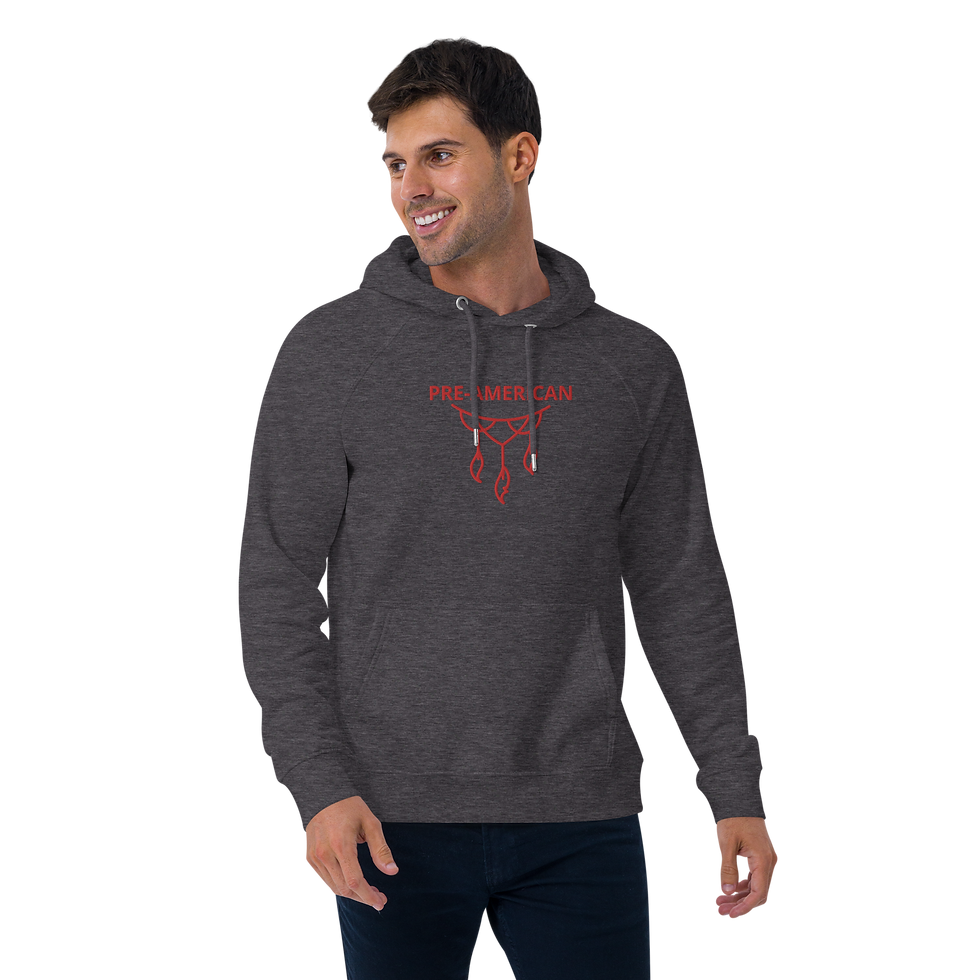Thumbnail: Pre-american eco raglan hoodie