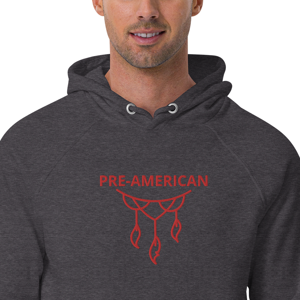 Thumbnail: Pre-american eco raglan hoodie