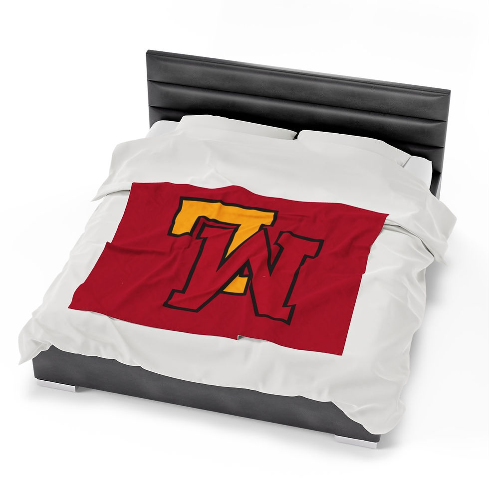 Thumbnail: Raiders ML Plush Blanket