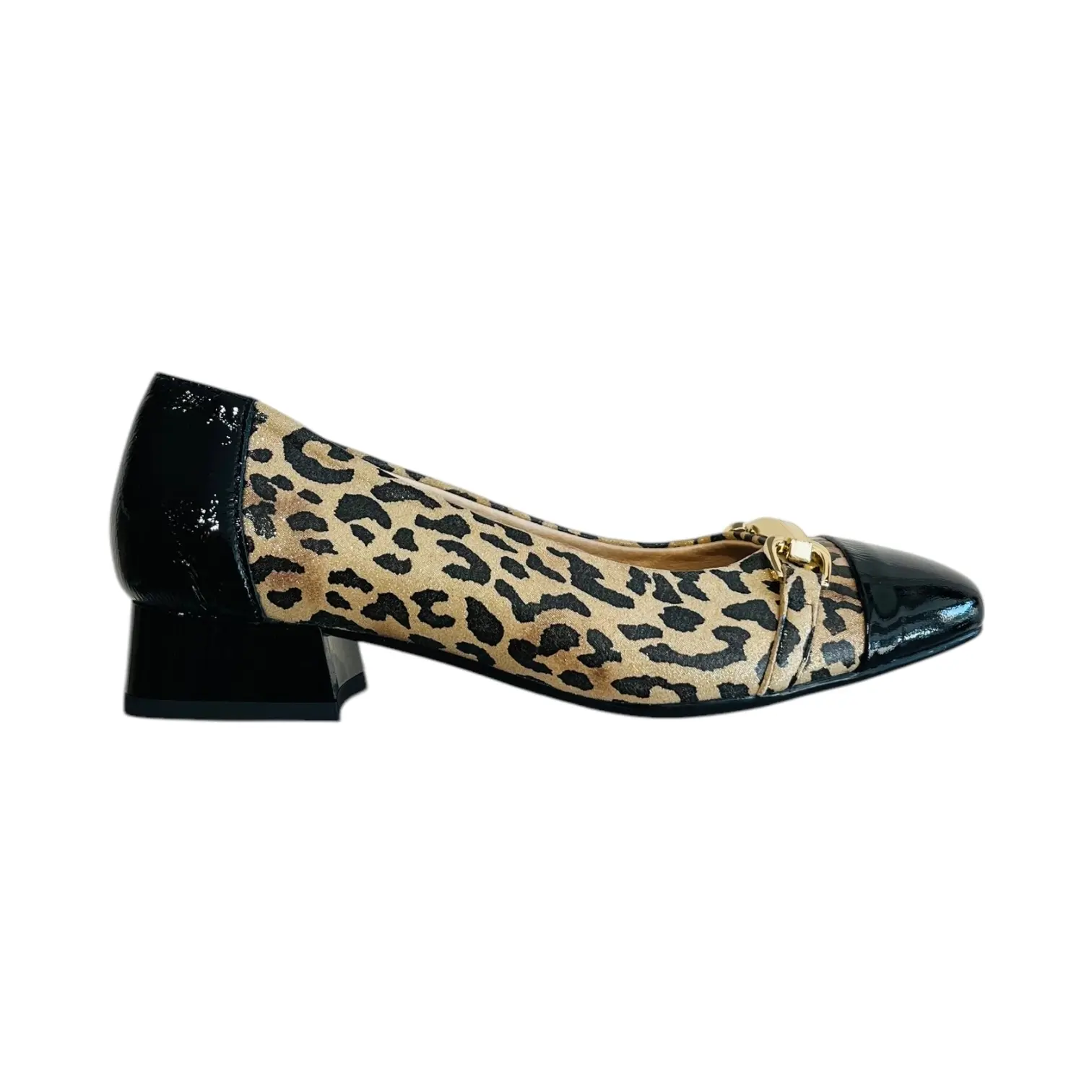 Dorking - D9304 Gia - Jaguar Sahara Negro