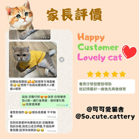 養男仔想發腮發得靚,就記得最好一歲後先做絕育