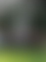 Encuentro de Comunicadores Maristas fortalece la misión en la Provincia de México Occidental.