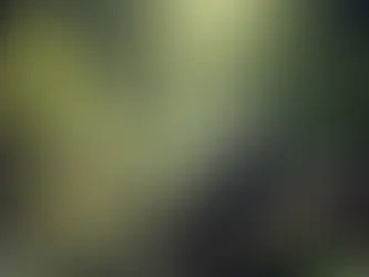 Echoes of Shadows - Excerpt 2