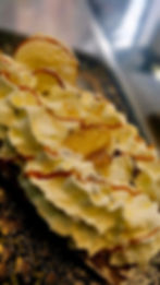 Gaufre pommes chaudes, caramel