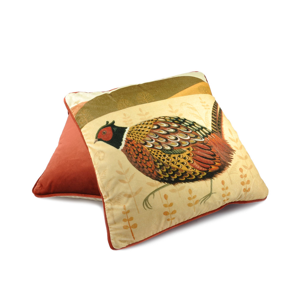 Thumbnail: Pheasant Cushion