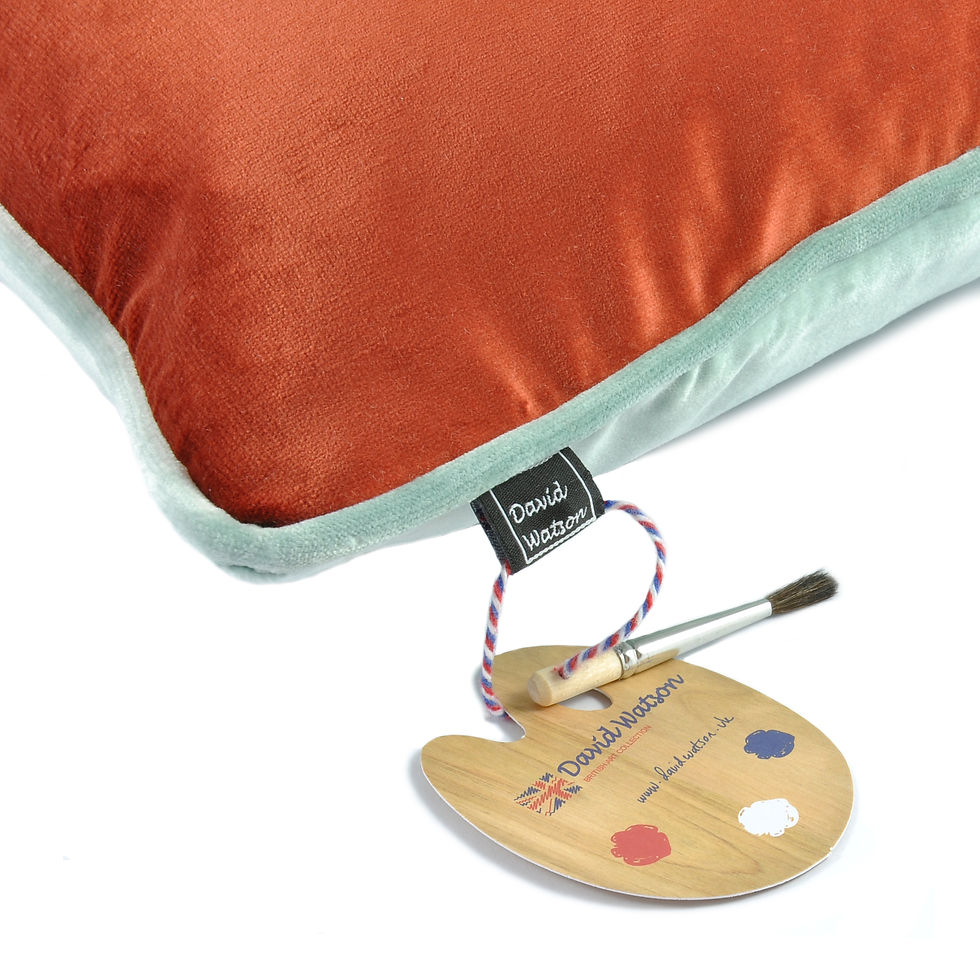 Thumbnail: Red & Blue Cushion