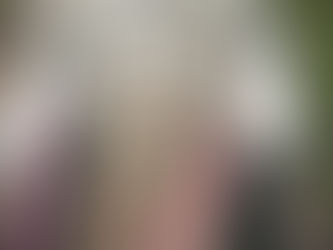 The Importance of Dog Walking Services